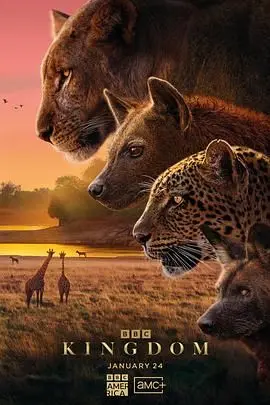 《动物王国(普通话版)》：一场关于成长、友谊与勇气的爆笑之旅！